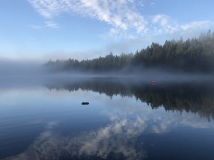 foggy long lake in nanaimo with red bouy in distance