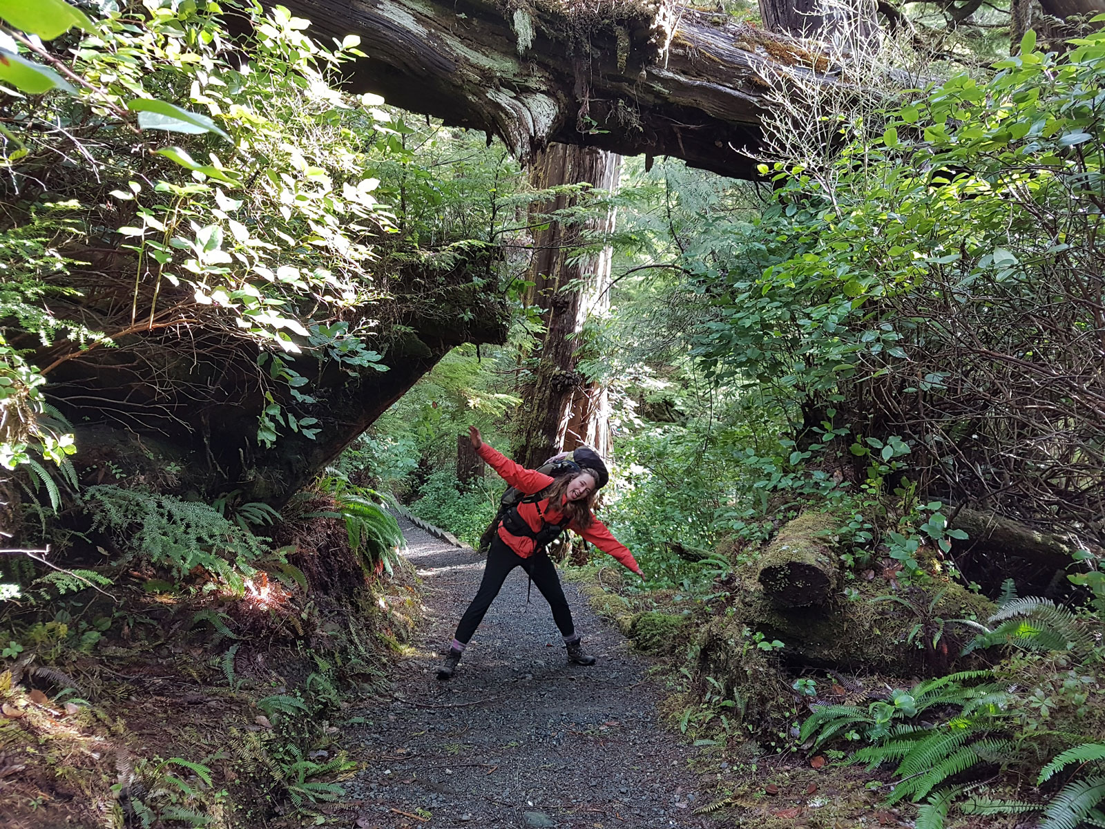 Woman wearing backpack exploring surrounding areas ofVancouver Island rainforest