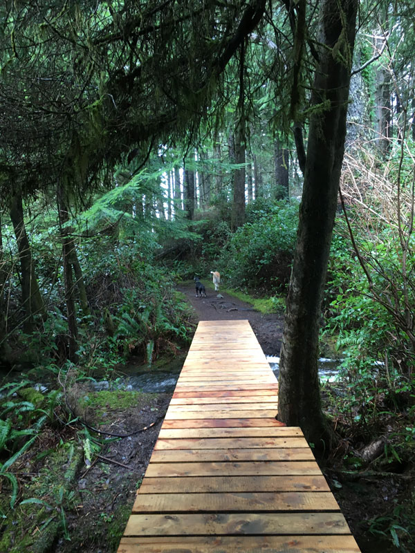 South Island hiking trails Vancouver Island, BC Canada