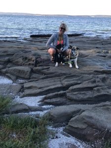 Dog friendly beach hikes sales