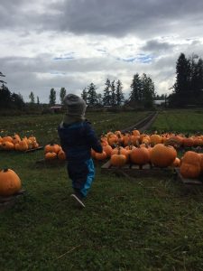 A child filled with excitement while checking out all the pumpkins at the farm